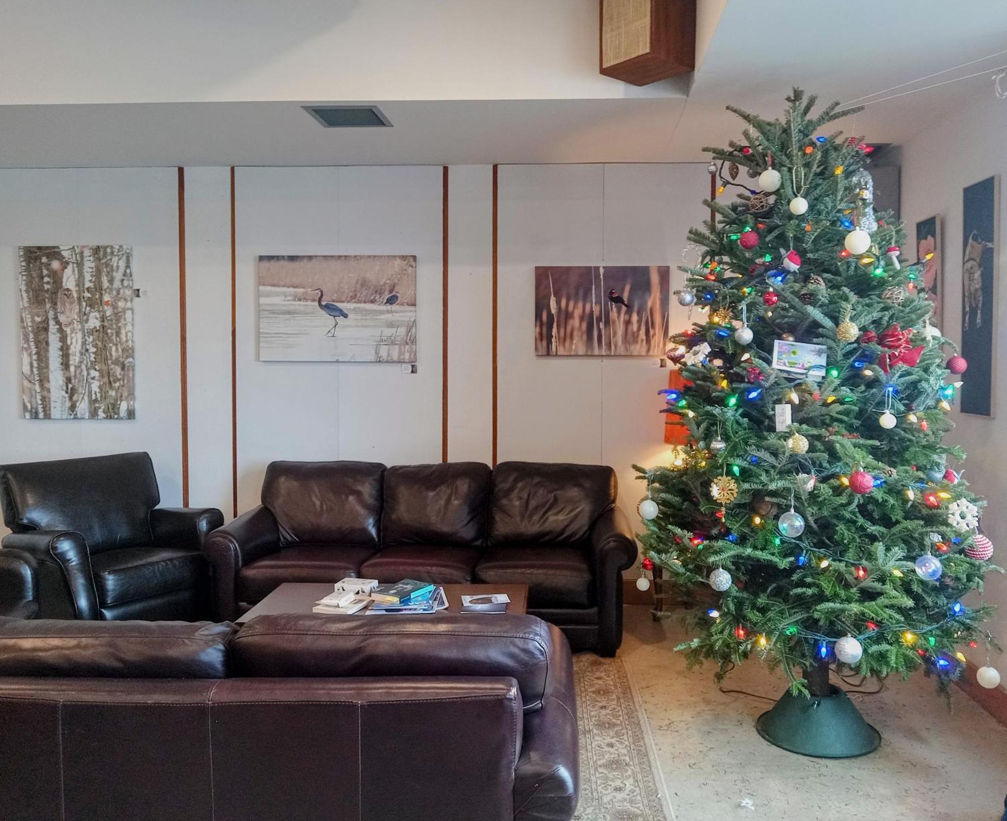 Hotel Wolfe Island Marysville 외부 사진