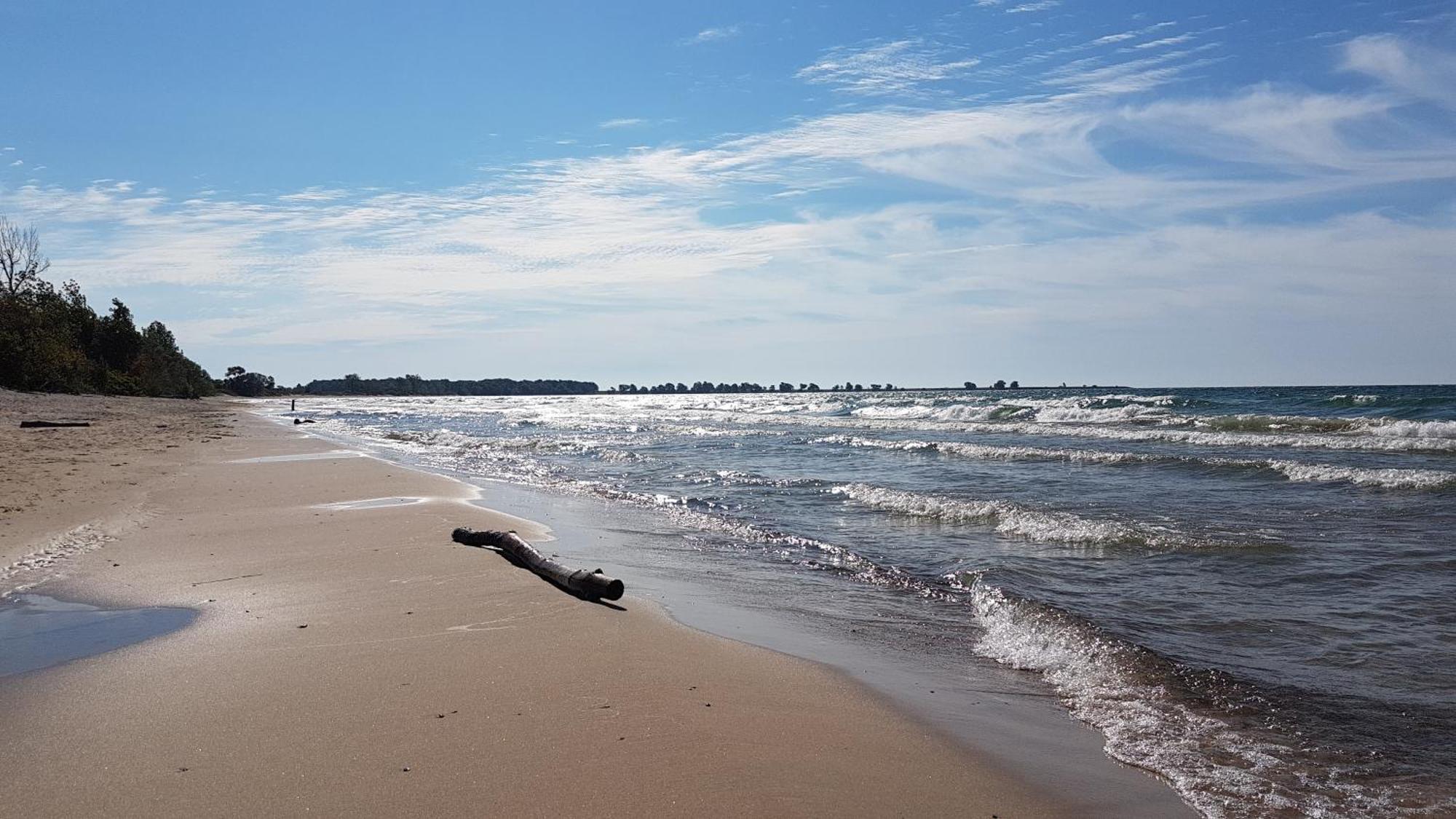 Hotel Wolfe Island Marysville 외부 사진