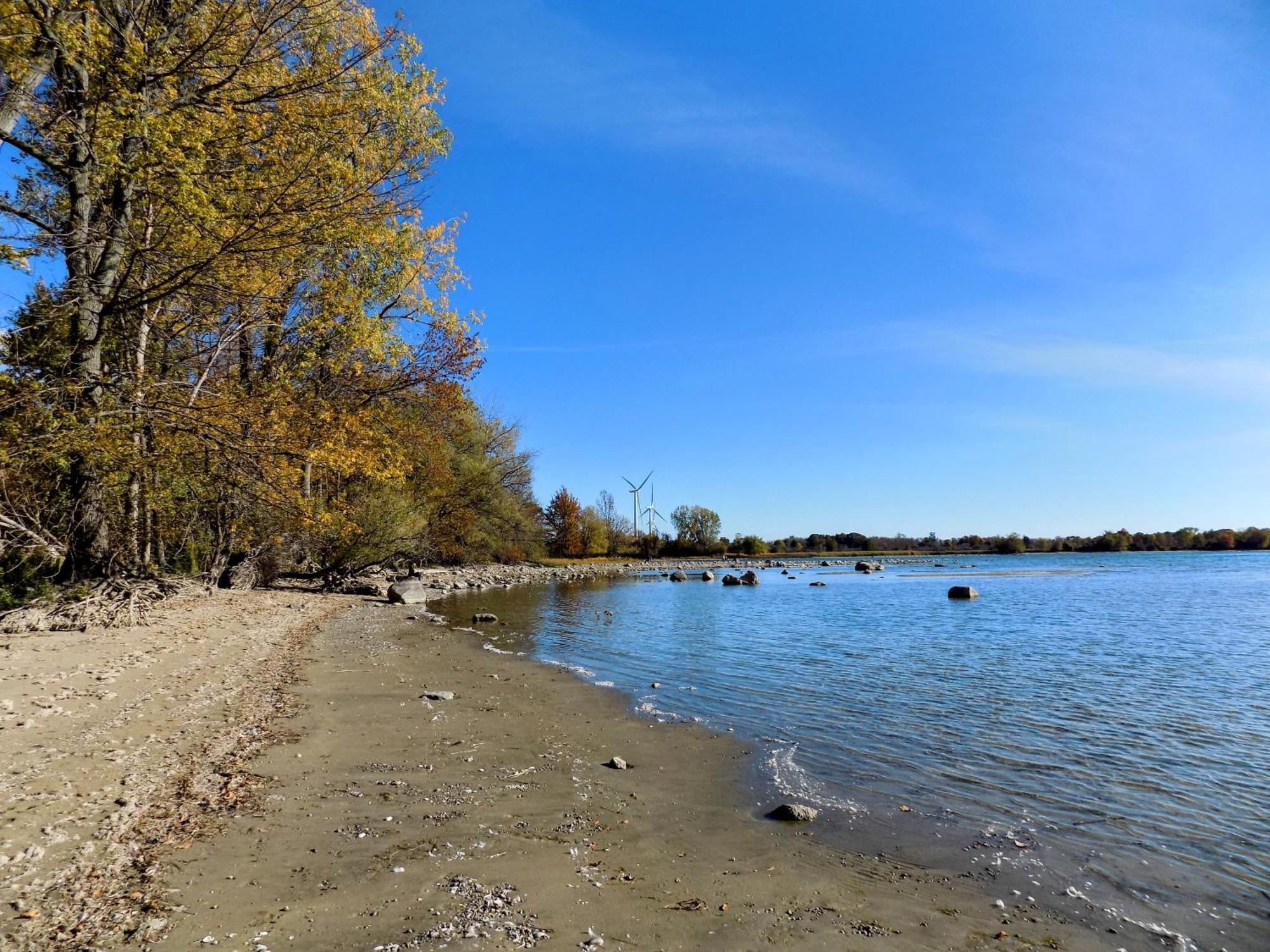 Hotel Wolfe Island Marysville 외부 사진
